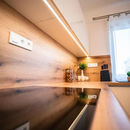 Hébergement de vacances Apartmanovy Dom Budina