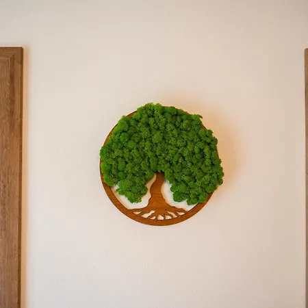 Apartmanovy Dom Budina