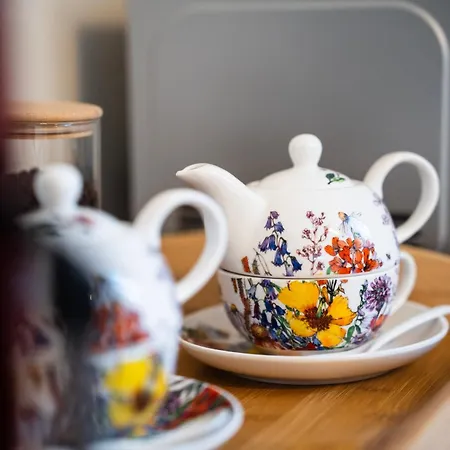 Apartmanovy Dom Holiday home Budina