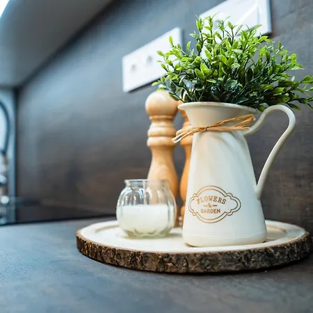 Apartmanovy Dom Holiday home Budina