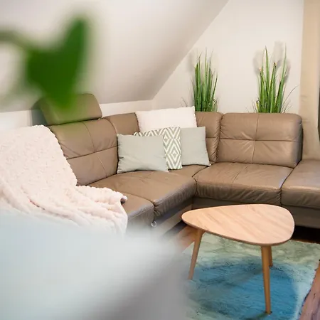 Apartmanovy Dom *