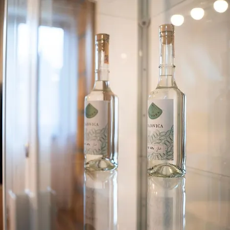 Apartmanovy Dom Holiday home Budina