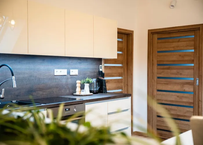 Apartmanovy Dom Holiday home *